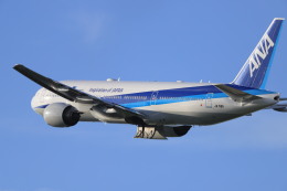 100周年　オーストラリア空軍　A330-200 100周年 オーストラリア空軍 A330-200