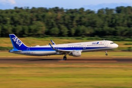 機体記号 : JA111A (ANA) 航空フォト(飛行機 写真・画像