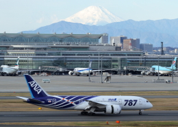 機体記号 : JA802A (ANA) 航空フォト(飛行機 写真・画像