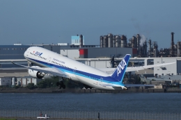 ANA (全日空) 機材一覧 運用中 ボーイング787-10 | FlyTeam