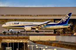 のあ 機体記号 : JA878A (ANA) 航空機体ガイド | FlyTeam(フライチーム)