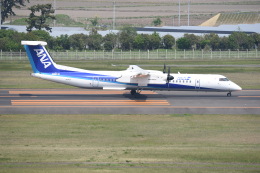 セスナ・エアクラフト・カンパニー Cessna 208 N51967 仙台空港