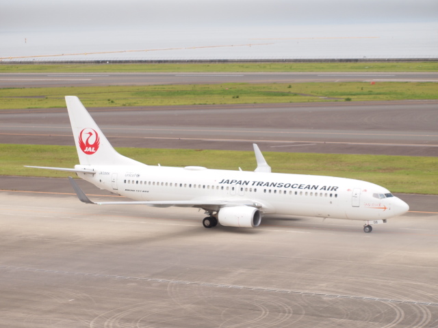 TEAM USA」特別塗装機 デルタ航空 (A330-900 | N411DX) ガイド