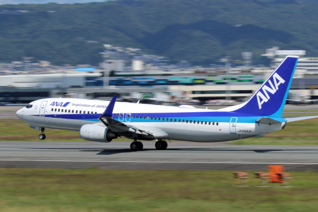 JAL B737-800 しまじろうジェット 特別塗装 1/400 JAL B737-800 しまじろうジェット 特別塗装 1/400 - メルカリ