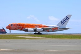 フライングホヌ ラー/3号機」特別塗装機 全日空 (A380 | JA383A