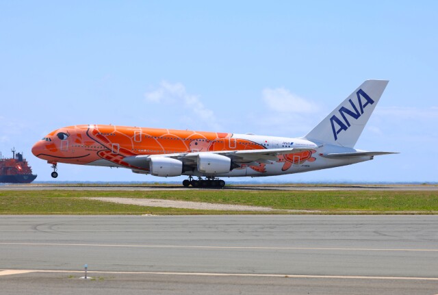kamakiページ  ホヌ✕3機 kamakiページ ホヌ✕3機 成田に3機揃った！ ANAのエアバス A380