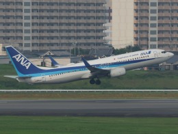 ヒコオタさんが、伊丹空港で撮影した全日空 737-881の航空フォト（飛行機 写真・画像）