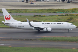 STORKさんが、羽田空港で撮影した日本航空 737-846の航空フォト（飛行機 写真・画像）