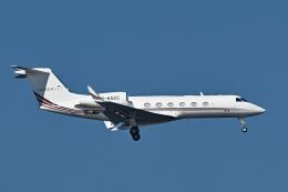 シグナス021さんが、羽田空港で撮影したアンバーエア G-IV-X Gulfstream G450の航空フォト（飛行機 写真・画像）