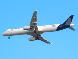 航空フォト：D-AIDK ルフトハンザドイツ航空 A321