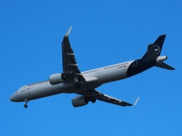 航空フォト：D-AIEB ルフトハンザドイツ航空 A321neo