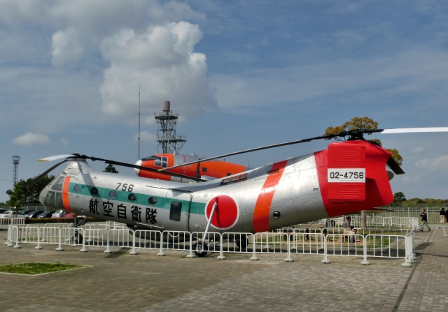 パイアセッキ H-21