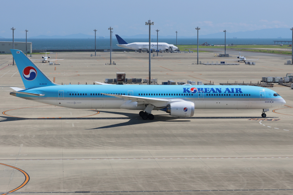 【ギター様／本日限定】KOREAN AIR 大韓航空 Boeing787-10 大韓航空、本日2024年7月25日より東京/成田～ソウル/仁川線に