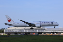 航空機・ヘリコプター JAL B787-9 JA862J hqdefault.jpg