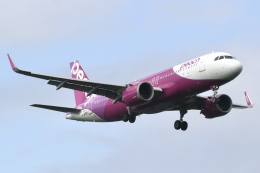 JALふぁんさんが、新千歳空港で撮影したピーチ A320-251Nの航空フォト（飛行機 写真・画像）