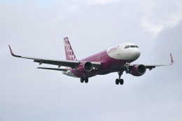 JALふぁんさんが、新千歳空港で撮影したピーチ A320-214の航空フォト（飛行機 写真・画像）