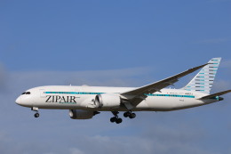 ボーイング787-8 ドリームライナー 製造番号:34837/38 徹底