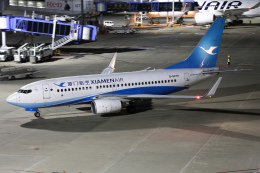 ドガースさんが、中部国際空港で撮影した厦門航空 737-75Cの航空フォト（飛行機 写真・画像）