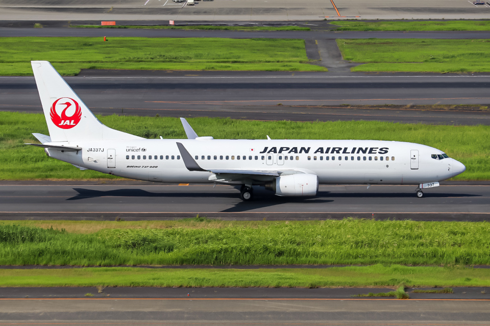 JAL 737-800 日本航空 JA337J 守ろう！世界の宝 ph（日本航空
