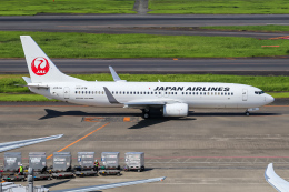 Y.Dさんが、羽田空港で撮影した日本航空 737-846の航空フォト（飛行機 写真・画像）