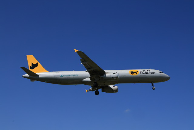 春秋航空日本 (スプリングジャパン) 機材一覧 ボーイング737-800
