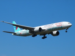 インドエア B777-300 特別塗装機 インドエア B777-300 特別塗装機 - メルカリ