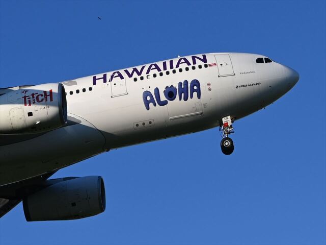 ボーイング787-8 ドリームライナー 航空機 徹底ガイド | FlyTeam
