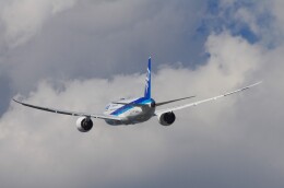 機体記号 : JA878A (ANA) 航空機体ガイド | FlyTeam(フライチーム)