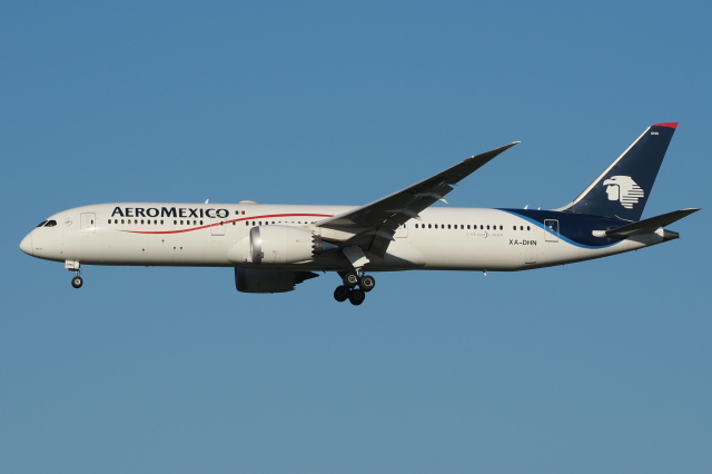 アエロメヒコ航空 機材一覧 運用中 ボーイング737-700 | FlyTeam