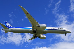 schabak1/600ガルーダインドネシア航空A300 ガルーダ・インドネシア航空 Airbus A300-600 PK-GAK 福岡空港