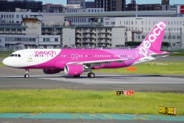 インフラ支え75年 太平電業」特別塗装機 ピーチ (A320 | JA828P