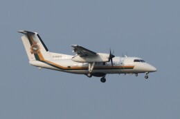 【RAC】 ボンバルディアDHC-8-Q300 1:100 JA8936 RAC Ryukyu Air Commuter Bombardier DHC-8-300 JA8936 TAKE-OFF