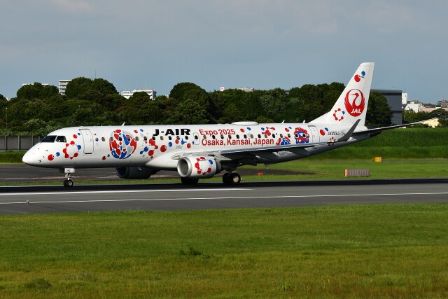 アシアナ航空 Aviationtagt A321-100 スターアライアンスロゴ