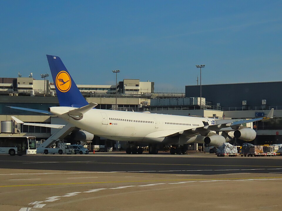 ルフトハンザドイツ航空 Airbus A340-300 D-AIGS フランクフルト