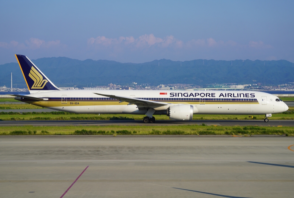 ripiさん用! シンガポール航空／+オレンジほぬ ripiさん用! シンガポール航空／+オレンジほぬ - メルカリ