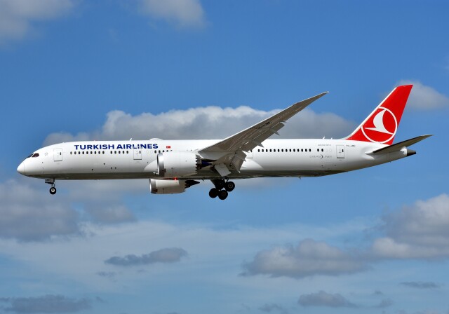 【ゆーひ】Phoenix トルコ航空 A350-900 TC-LGA www.JetCollector.com: PHOENIX TURKISH AIRLINES A350-900 TC