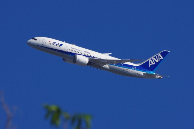 ボーイング787-8 ドリームライナー 製造番号:34518/322 徹底
