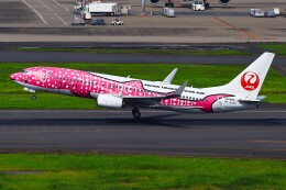 2代目 さくらジンベエジェット」特別塗装機 日本トランス