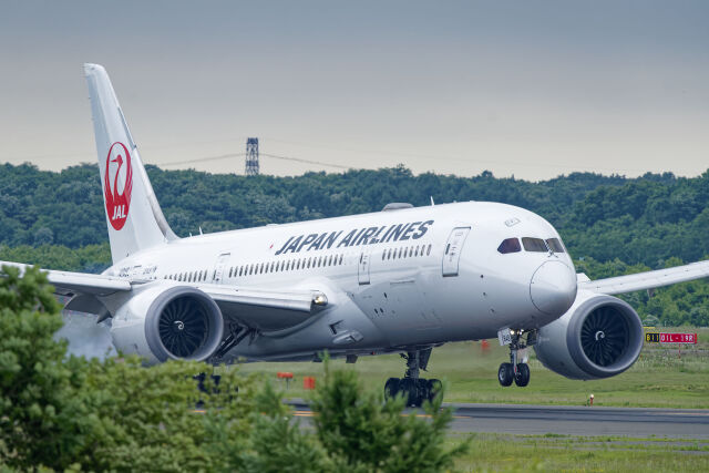 機体記号 : JA773J (JAL) 航空機体ガイド | FlyTeam(フライチーム)