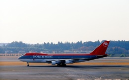 米購入　ノースウエスト航空　NW (現　デルタ航空DL)ベア　約19センチくらい アマレット】ノースウエスト航空～Northwest B747 A330 B757