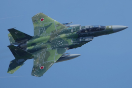 ナナさんが、小松空港で撮影した航空自衛隊 F-15DJ Eagleの航空フォト（飛行機 写真・画像）