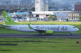 タ*カ様 1/100 B737-800W ソラシドエア くまモン号 JA805X EverRise 737-800w ソラシドエア 特別塗装 「くまモン号