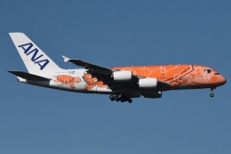 フライングホヌ ラー/3号機」特別塗装機 全日空 (A380 | JA383A
