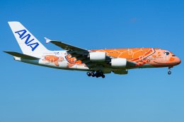 フライングホヌ ラー/3号機」特別塗装機 全日空 (A380 | JA383A