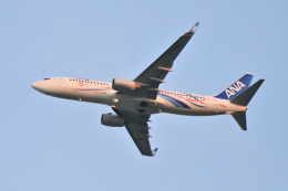 ANAマリーンジェット EXPO2025 ANA JET」特別塗装機 全日空 (737-800 | JA58AN