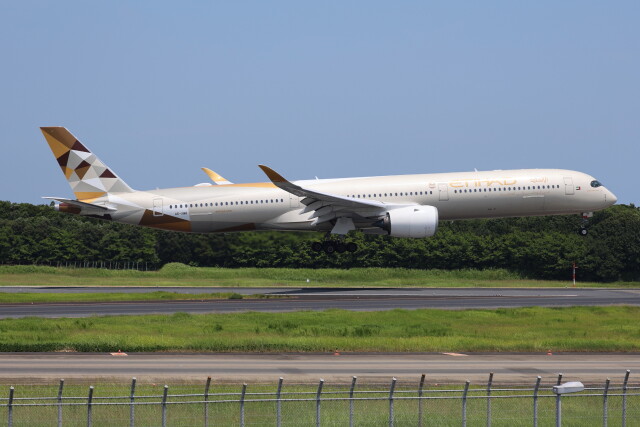 ボーイング737-700型機 全機退役」特別塗装機 全日空 (737-700