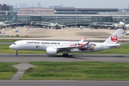 DREAM SHO JET 記念品 JAL、大谷翔平をデザインした特別塗装機「DREAM SHO JET