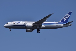 レア！ANA787-8 JA805A 1/200 羽田空港滑走路台座モデル Amazon | 全日空商事 1/200 787-8 JA805A 787ロゴ付き国際線仕様