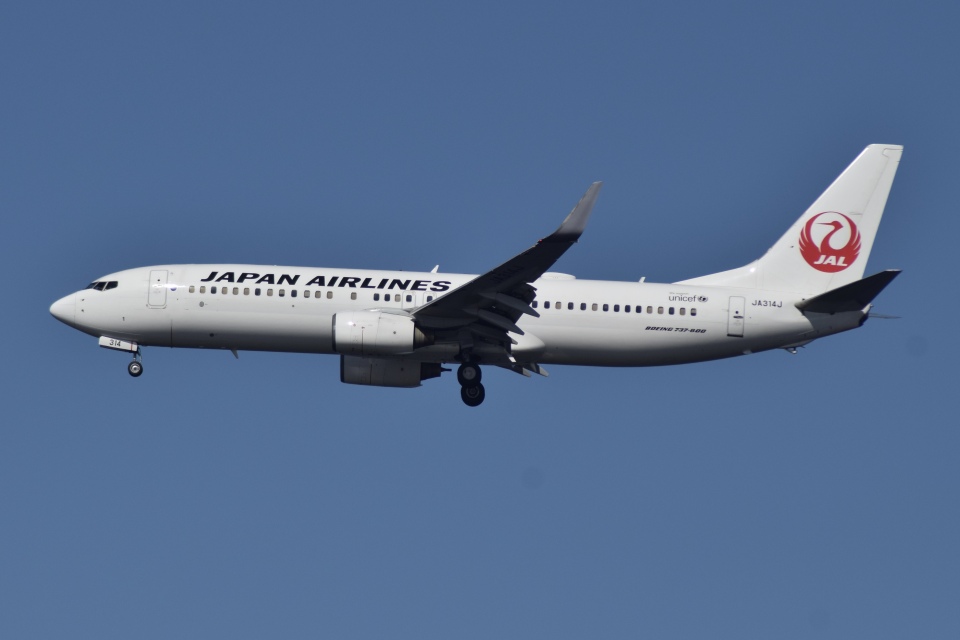 【通常塗装】JAL 日本航空 737-800 JA317J 通常塗装】JAL 日本航空 737-800 JA317J ph 1/400 - メルカリ