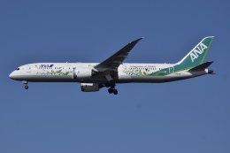 ANA Green Jet」特別塗装機 全日空 (787-9 | JA871A) ガイド